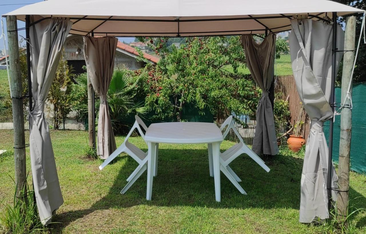 Quinta De Carvalhal - *