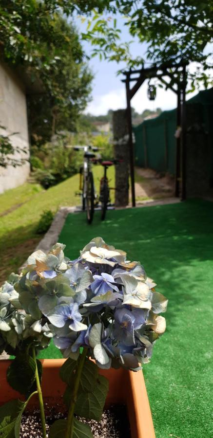 Quinta De Carvalhal - Сasa de vacaciones Guimarães